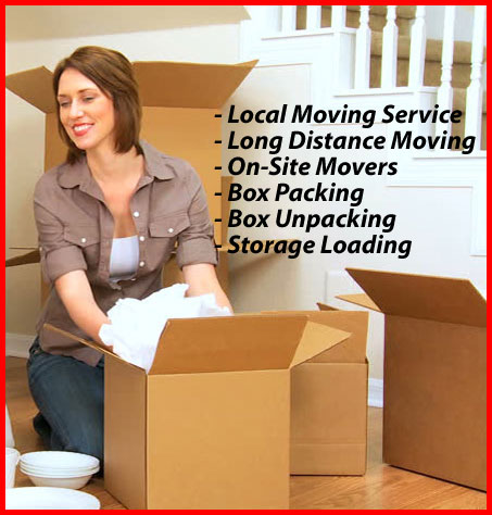 Packers And Movers Noida Sector 117
